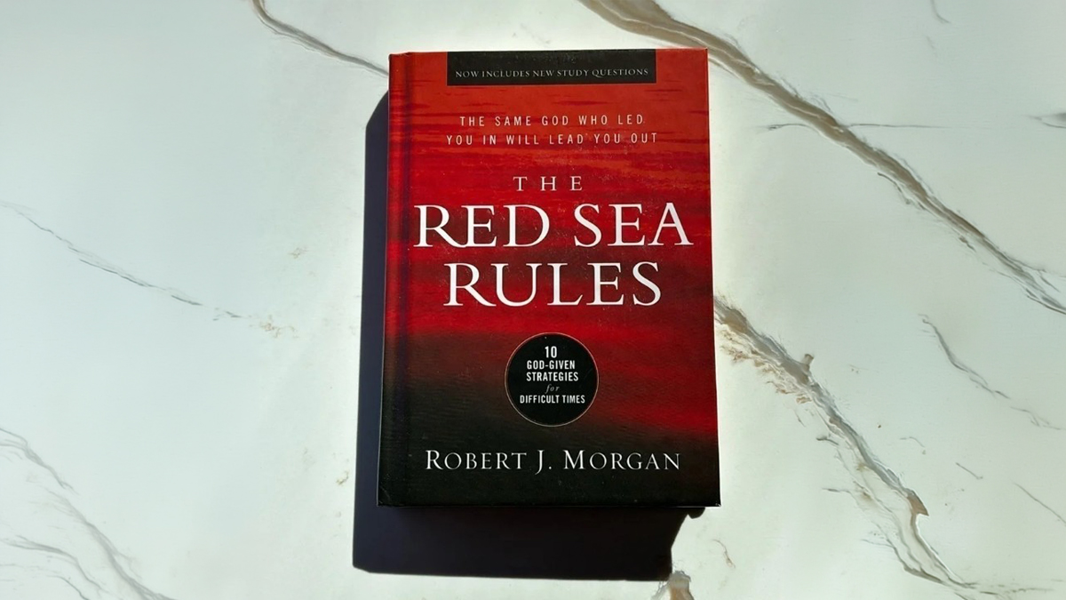 Womens_Studies_Wide_RedSeaRules